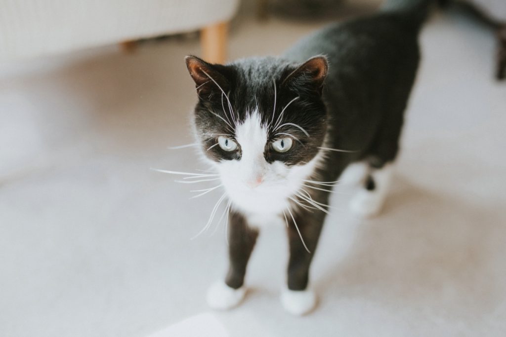 DoubleTree by Hilton Edinburgh Wedding, DoubleTree by Hilton Edinburgh Wedding – Lisa and Megan